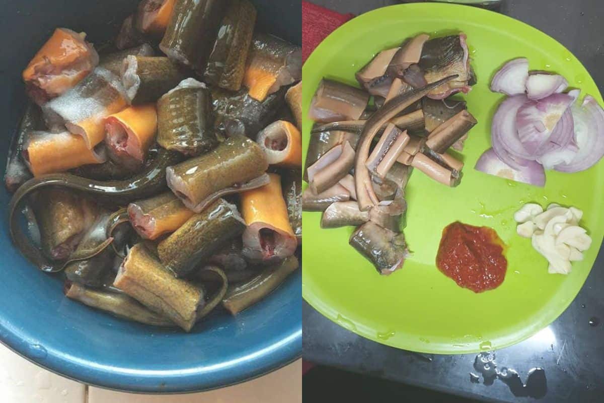 4 Resepi Belut (Sedap Masak Apa?)